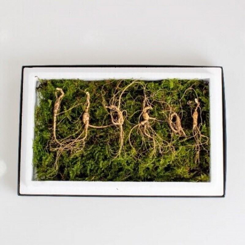 횡성태기산산양산삼,산양삼7년근6뿌리